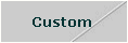 Custom 